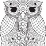 owl-mandala-coloring-sheet