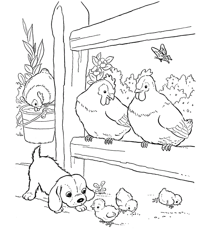 Chicken Coloring and Activity Page