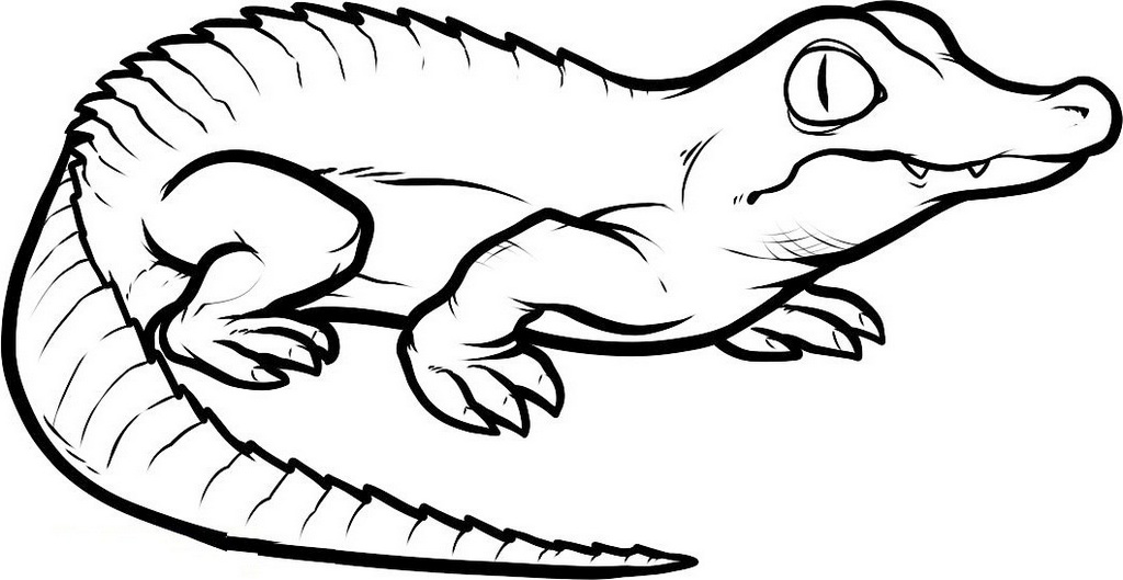 the-wild-and-cute-crocodile-coloring-pages-for-all-ages-coloring-pages