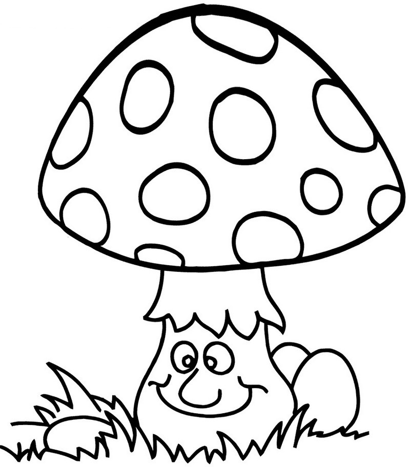 Top 11 Fascinating Mushrooms Species Coloring Pages Coloring Pages