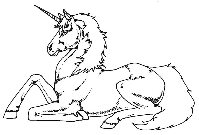fluffy unicorn coloring book
