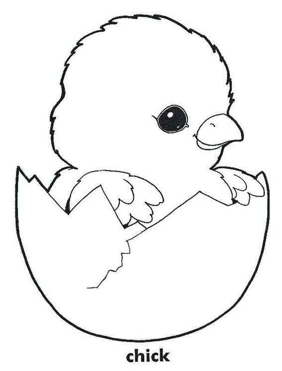 little chicken coloring pages for kids