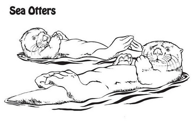 sea otter mammals coloring page