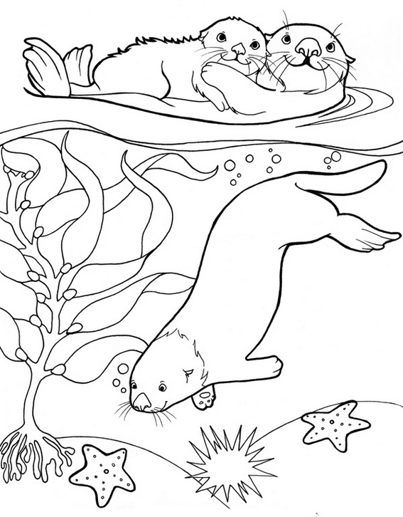 sea otter with undersea scenery coloring page