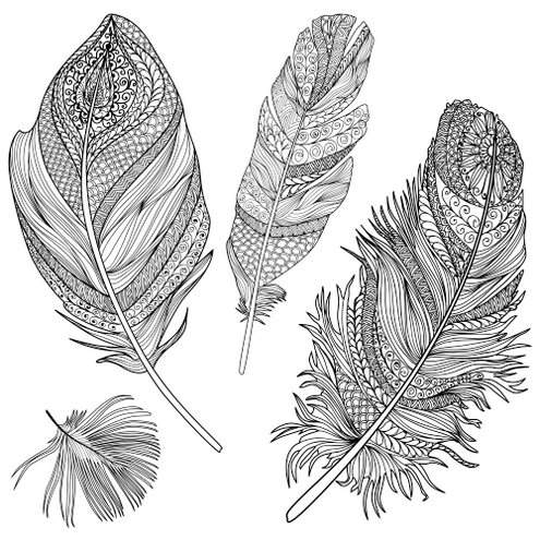 various of feathers coloring pictures