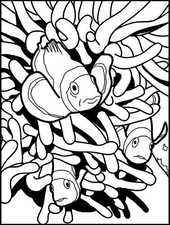 Fun Clown Fish Coloring Pages for Preschool
