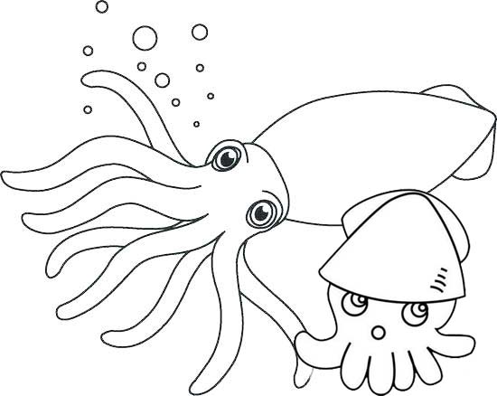 cute squid and baby coloring pages