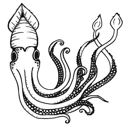 giant squid coloring page printable
