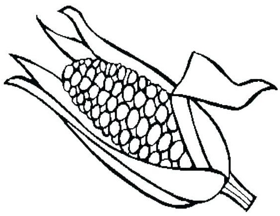 fun corn coloring and drawing page