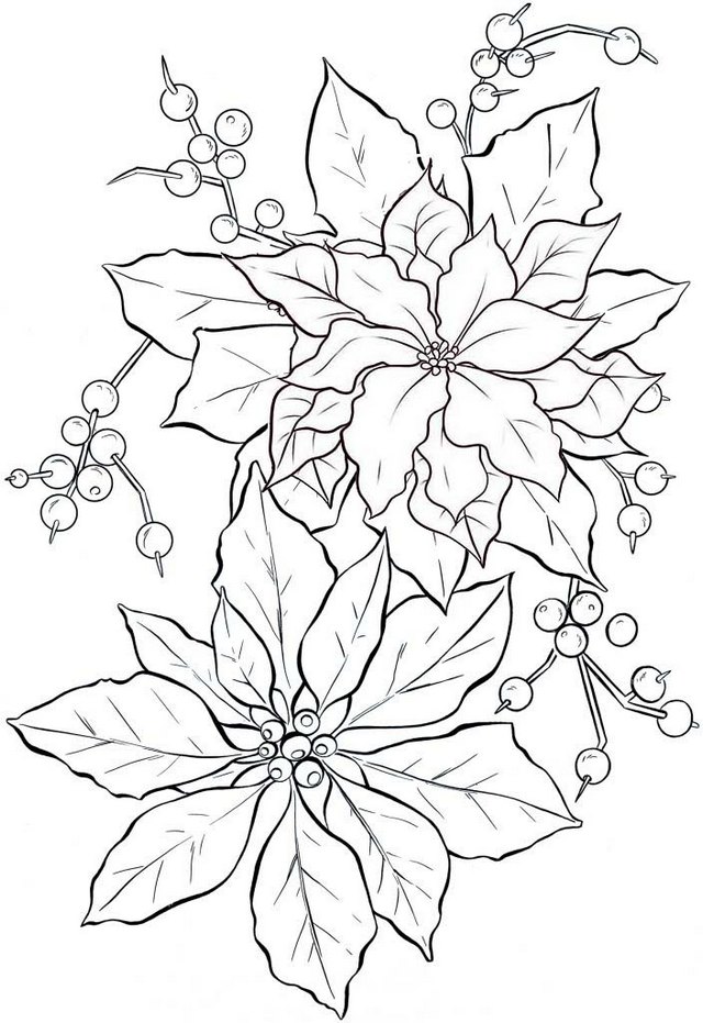 best poinsettia flower plant coloring page