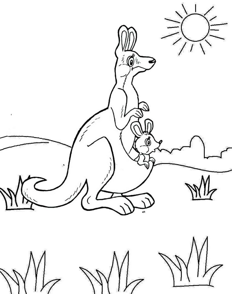 Beautiful Kangaroo Coloring Pages for Kids