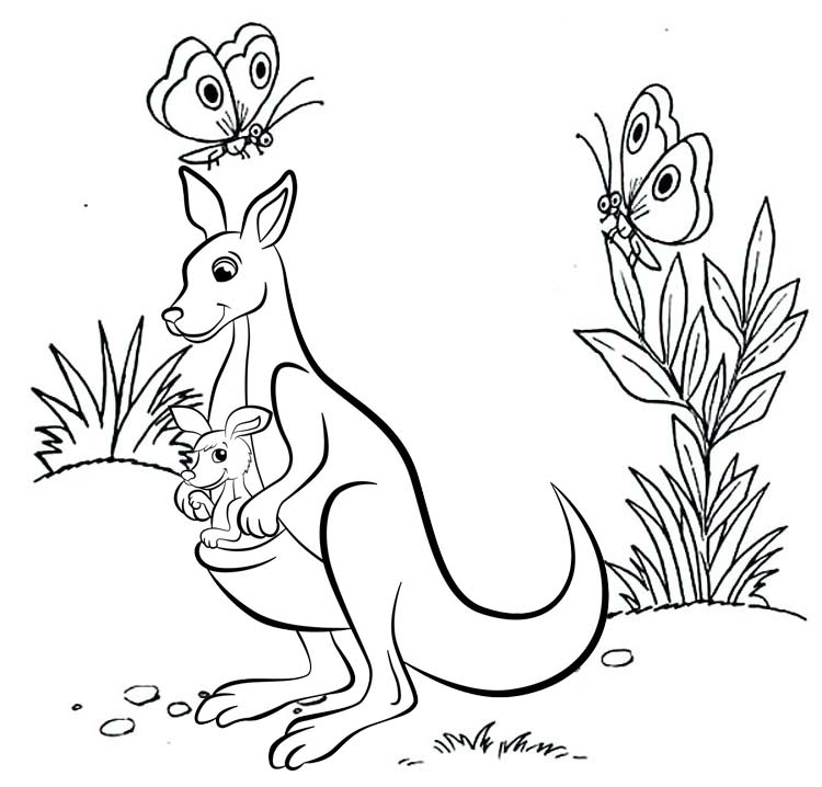 best kangaroo and baby coloring pages for kids