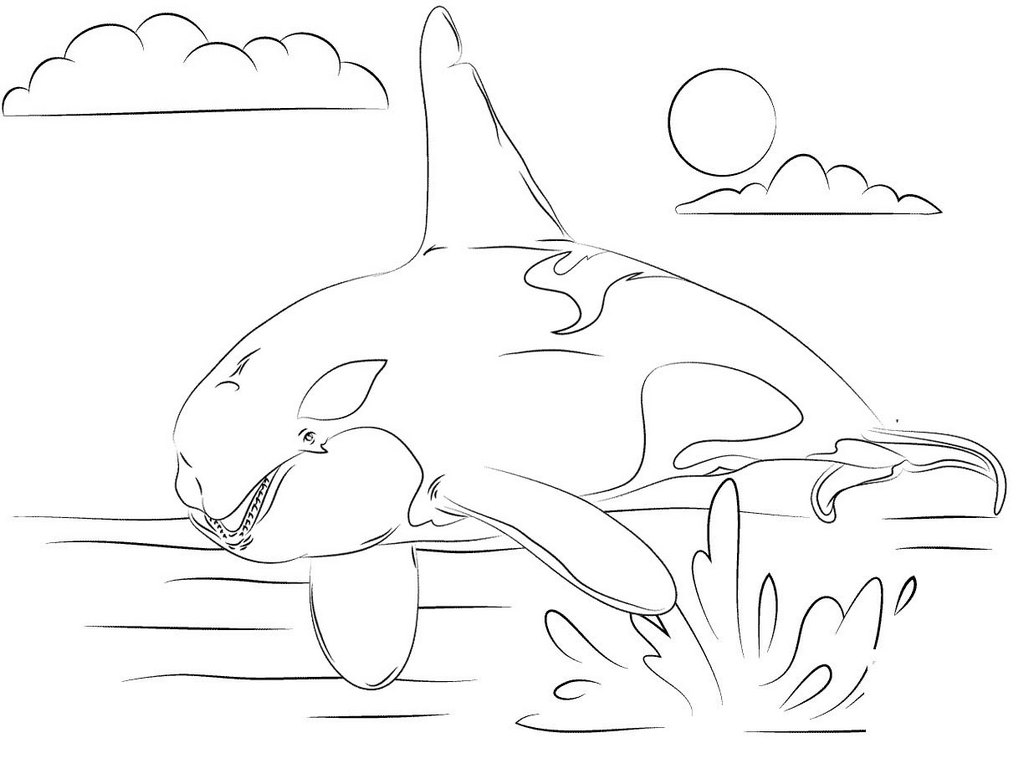Orca Whale Coloring Page