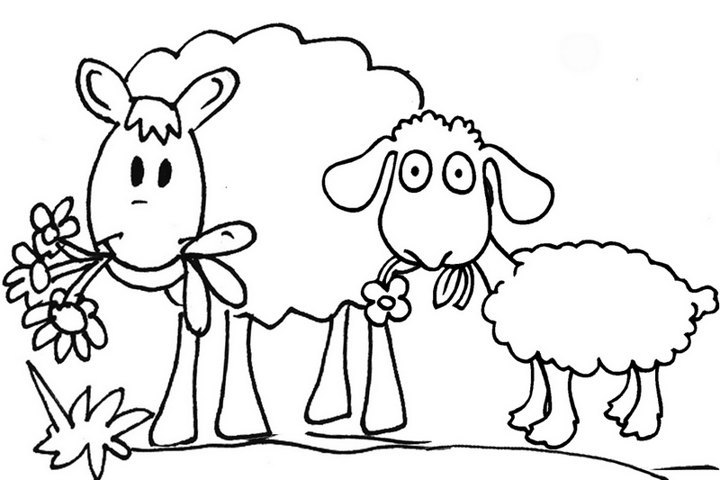 best sheep cartoon coloring pages