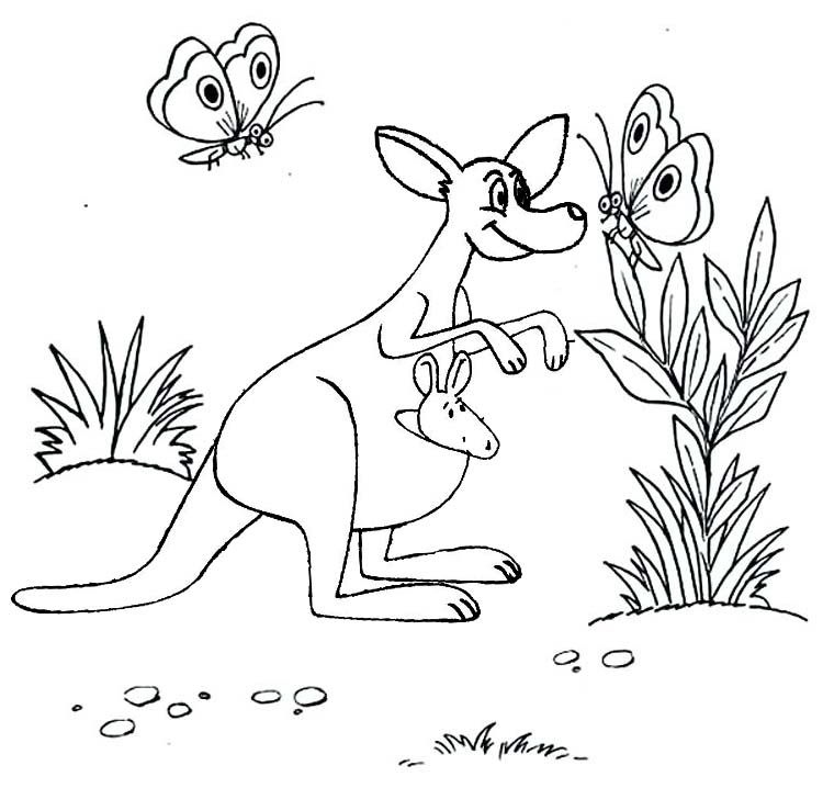 wonderful kangaroo animal coloring pages for kids