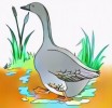 Funny Realistic and Cartoon Goose Coloring Pages for Children