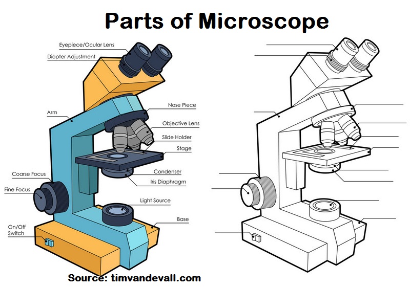 Parts of Microscope Drawing and Coloring Page for