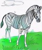 8 Best Zebra Coloring Pages for Kids