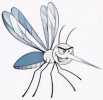 8 High Detailed Mosquito Drawing and Clipart Pages