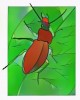7 Amazing World of Beetle Insects with Wild Nature Coloring Pages