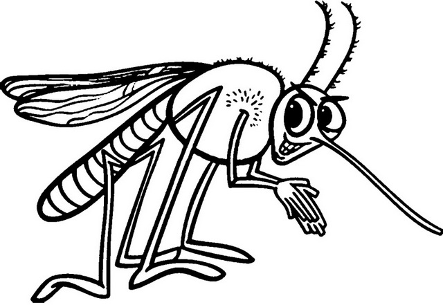funny mosquito cartoon clipart drawing page
