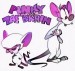 Seven Funny Pinky and The Brain Coloring Pages