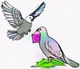 Most Beautiful Pigeon Coloring Pages for Kids