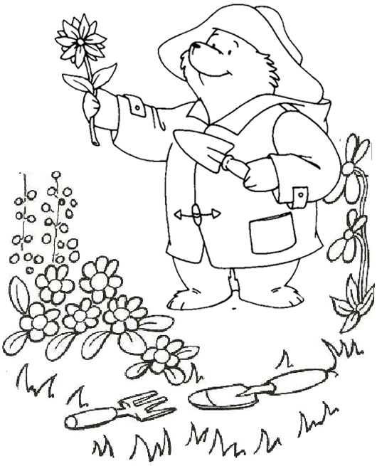 paddington gardening and planting flowers coloring page