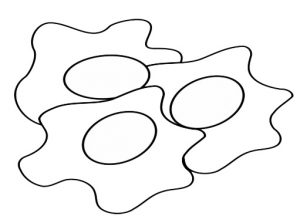 Favorite Fried Egg Coloring Page