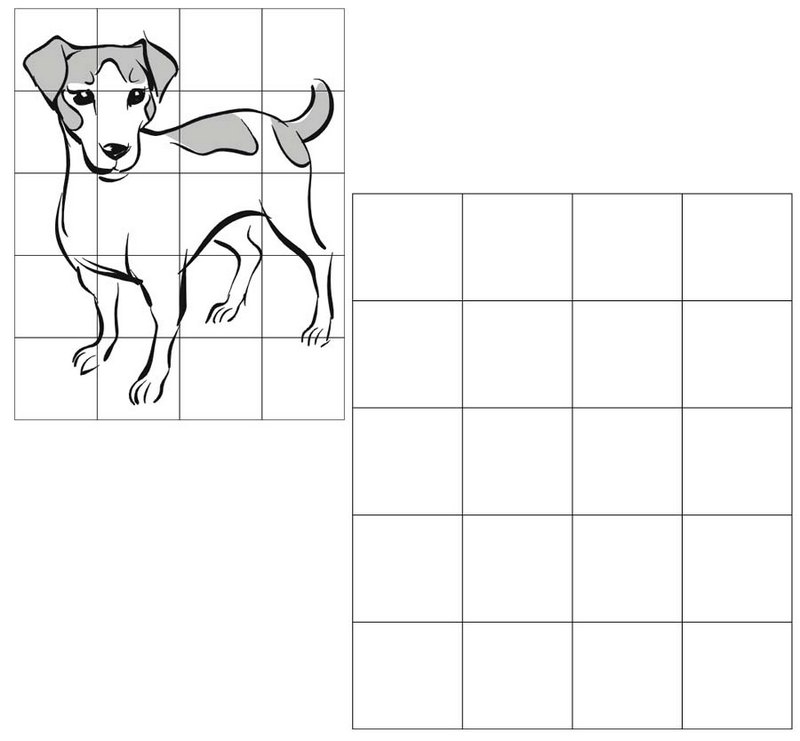 12 Best Animal Grid Drawing for Children - Coloring Pages