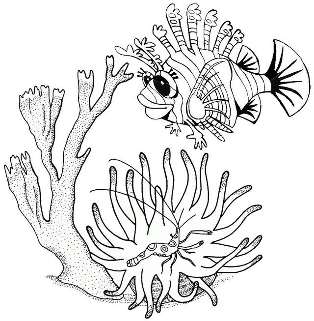 stunning beautiful lionfish cartoon coloring page