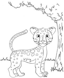 Eight Fun Baby Jaguar Coloring Pages for Kids - Coloring Pages