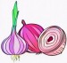 7 Playful Onion and Garlic Coloring Pages for Kids